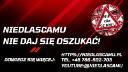 Discovery splash banner for NIEDLASCAMU.PL Discord server