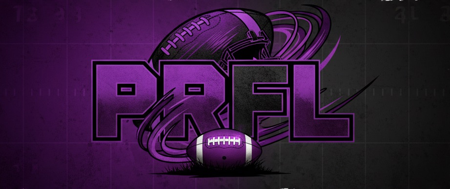 Discovery splash banner for Pro Roblox Football League (PRFL) | S 6 | Conference Championship Discord server