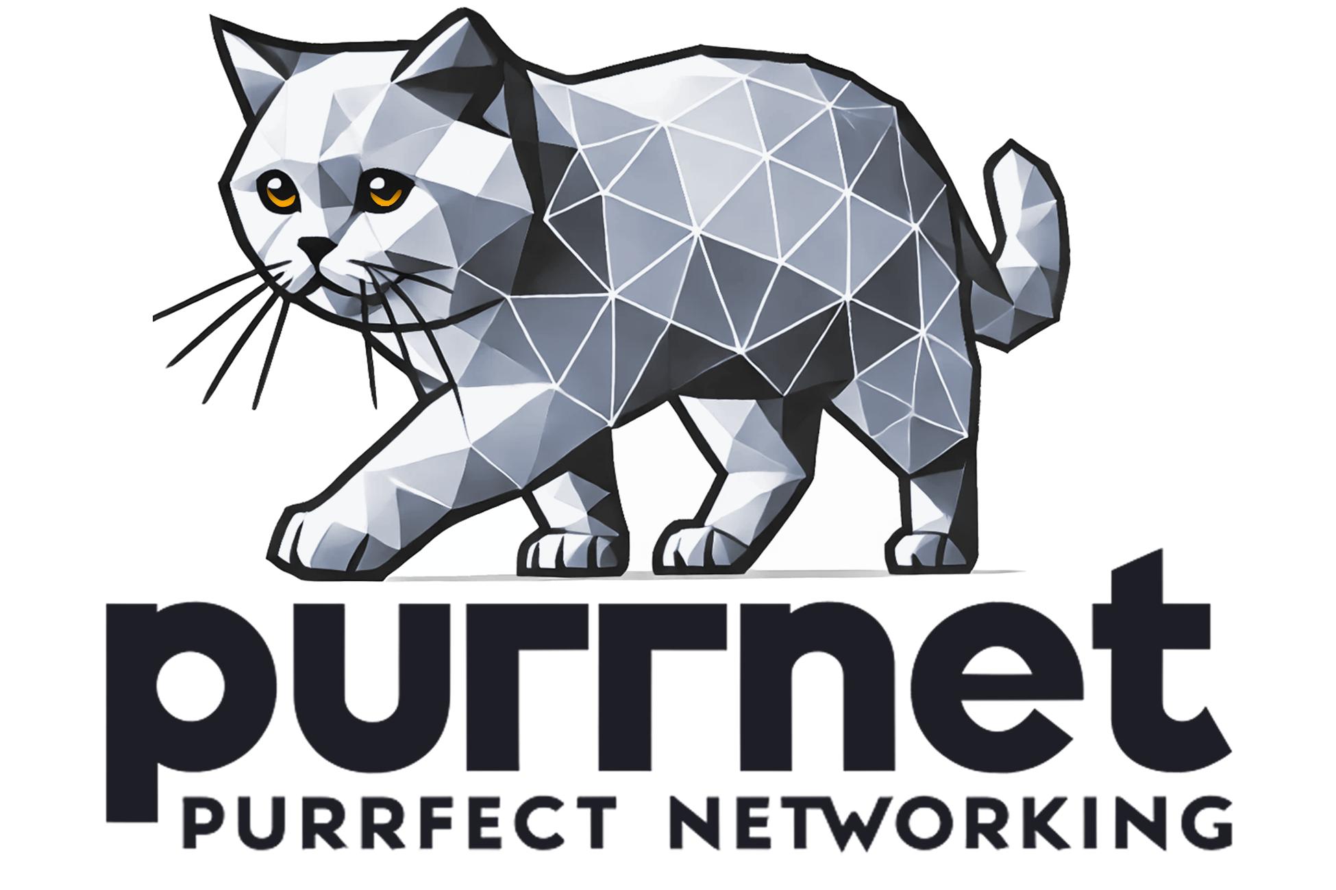 Discovery splash banner for PurrNet Discord server