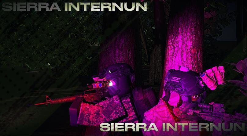 Discovery splash banner for 𝘚𝘐𝘌𝘙𝘙𝘈 𝘐𝘕𝘛𝘌𝘙𝘕𝘜𝘕 Discord server