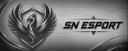 Discovery splash banner for SN Esport Discord server