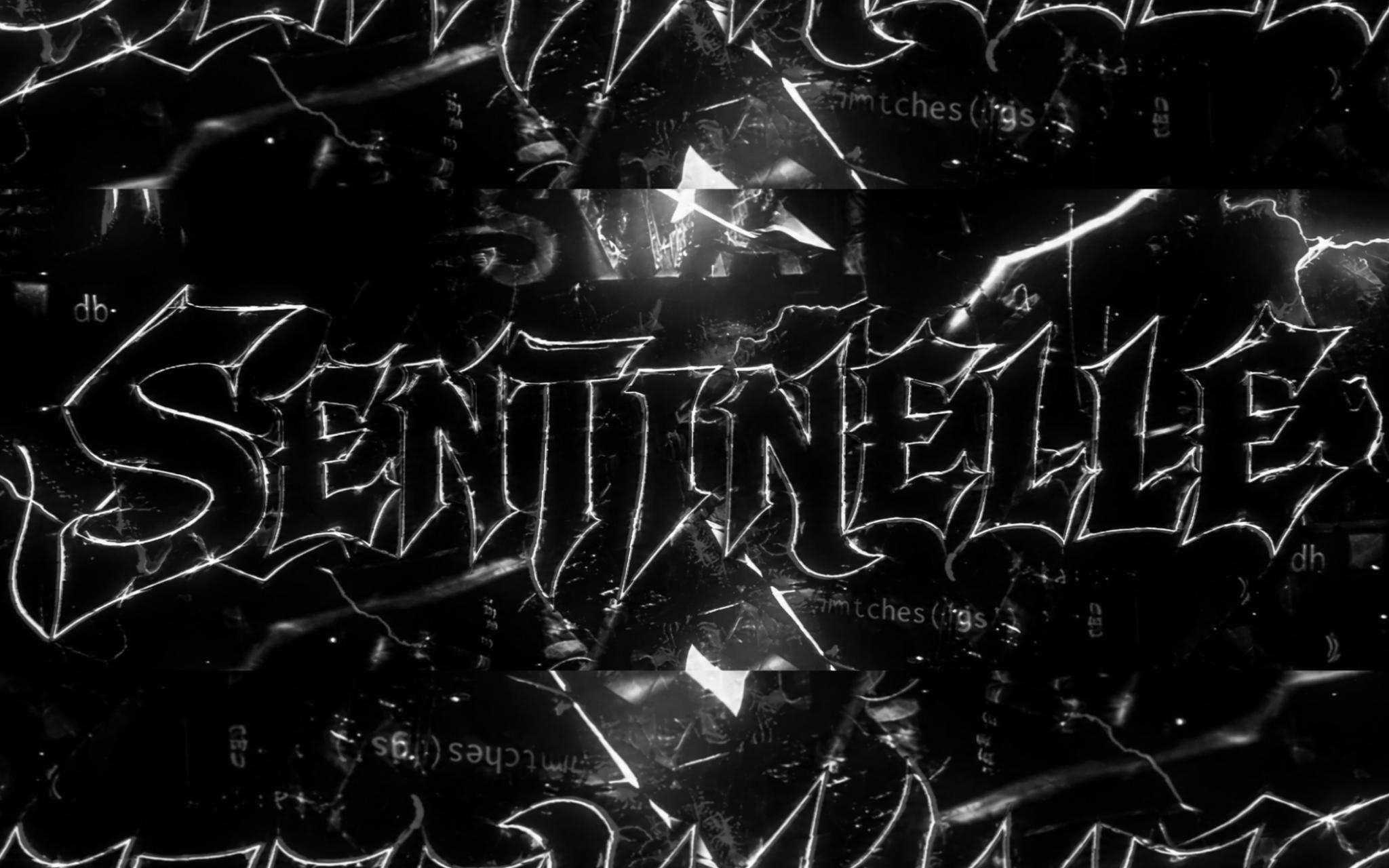 Discovery splash banner for 🏴☠ • Sentinelle #21h Discord server