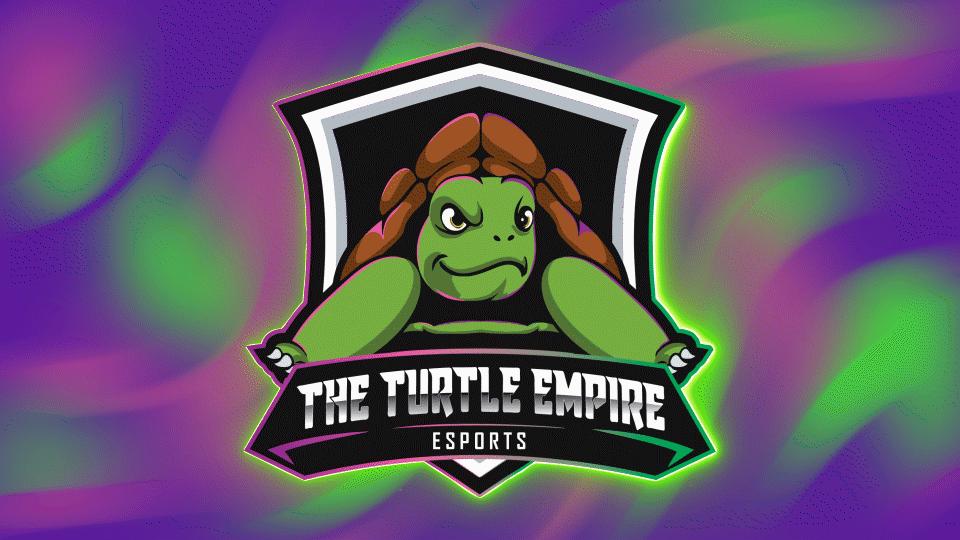 Discovery splash banner for The Turtle Empire Discord server