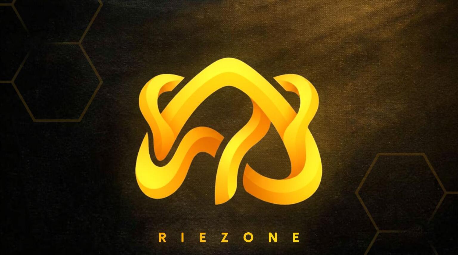 Discovery splash banner for Riezone 1.2k Discord server