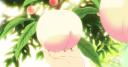 Discovery splash banner for ˚🍑　/koala-tea café　≋ Discord server
