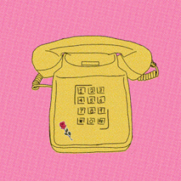 Discovery icon for Phoneboy Discord server