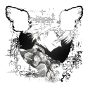 Discovery icon for ಣ  ˙ . ꒷ ノ𝓓e𝕚𝕥ყ  . ˙ 🪽  —  ⌗GIVEAWAY  𓏼． #STAFFAPPS ㆍ #REVAMPING  𓐇˚𓈒 Discord server
